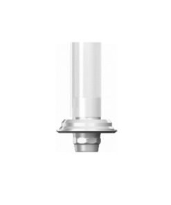 Straumann® TL WN-compatible Engaging Gold/Plastic Abutment
