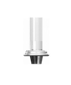 Straumann® TL WN-compatible Non-Engaging Gold/Plastic Abutment
