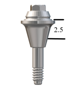 Straumann® BL NC-compatible Straight Multi-Unit Abutment x 2.5mm
