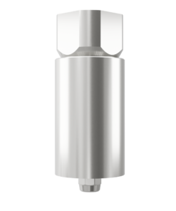 Straumann® TL-compatible RN Titanium Blank